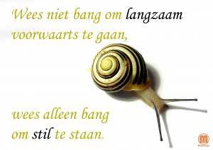 wees-niet-bang-om-langzaam-voorwaarts-te-gaan-wees-alleen-bang-om-stil-te-staan